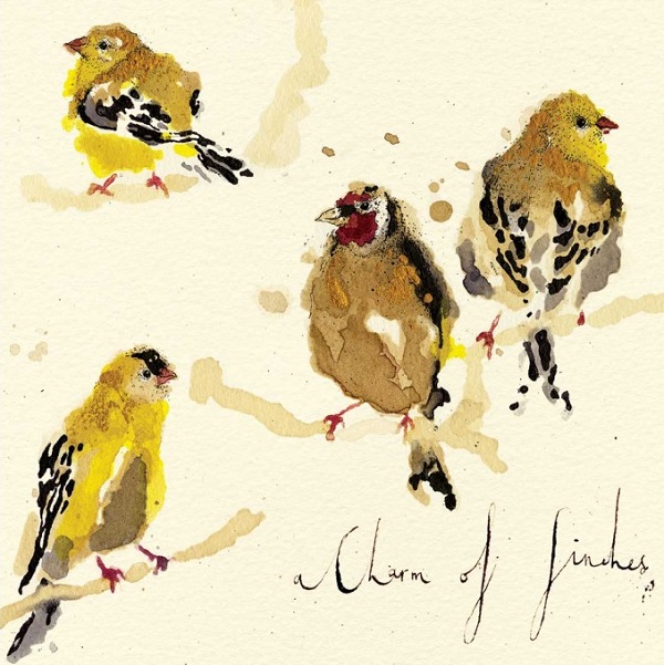'A Charm of Finches' by Anna Wright (K019)