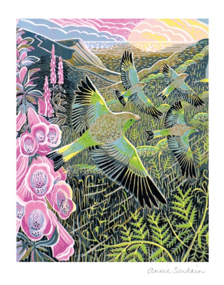 'Foxgloves and Finches' by Annie Soudain (V138) 