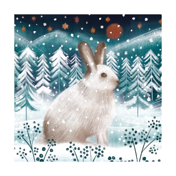 'Arctic Hare' by Catherine Worsley (8 pack) (VX) (message inside)  NEW Coming Soon