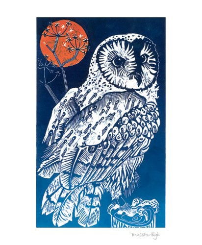 'Barn Owl' by Olivia Clifton Bligh (A531)