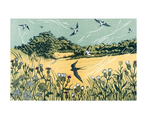 'Bayfield Swallows' by Niki Bowers (A611) *