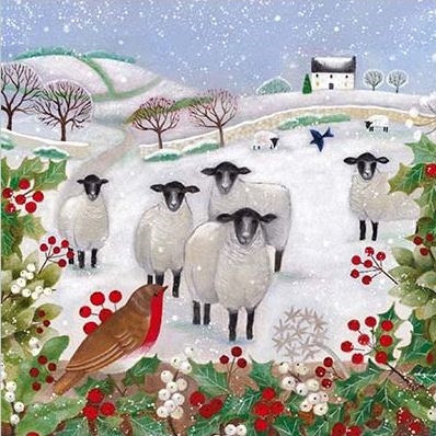 'Sheep and Robin' by Bex Parkin (T123) NEW