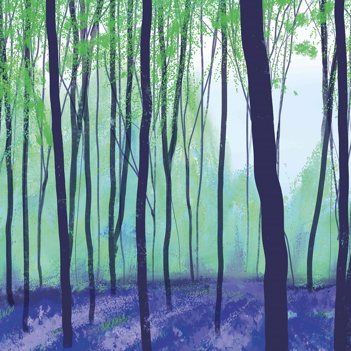 'Bluebell Wood' by Carla Vize-Martin (Q158) *