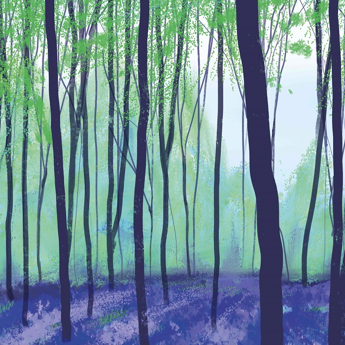 'Bluebell Wood' by Carla Vize-Martin (Q158) d