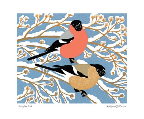 'Bullfinches' by Robert Gillmor (A449w)