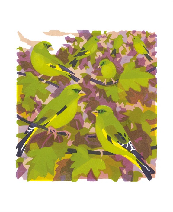 'Greenfinches' by Carry Akroyd (A238) NEW