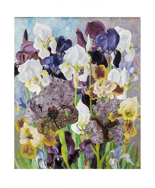 'May Flowering Irises' 1935 by Cedric Morris (1889 - 1982) (A970) NEW 