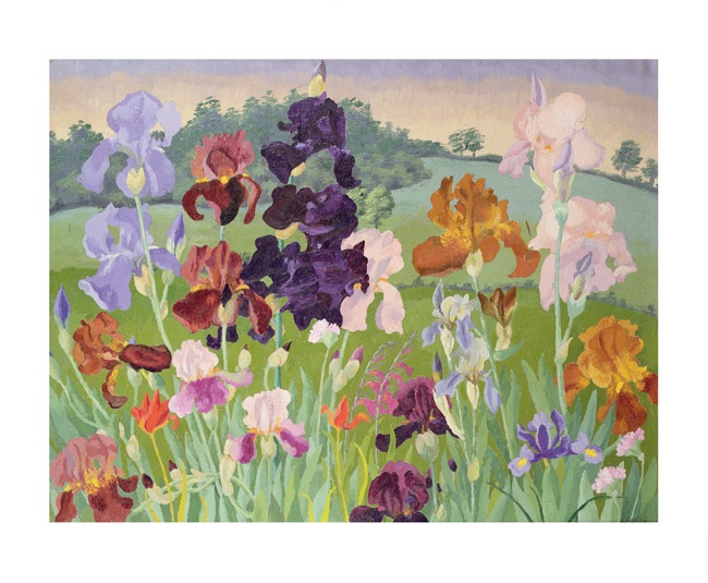 'Several Inventions' by Cedric Morris (1889 - 1982) (A812) *