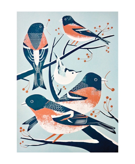 'Bramblings and a Nuthatch' by Chris Andrews (A787w) 