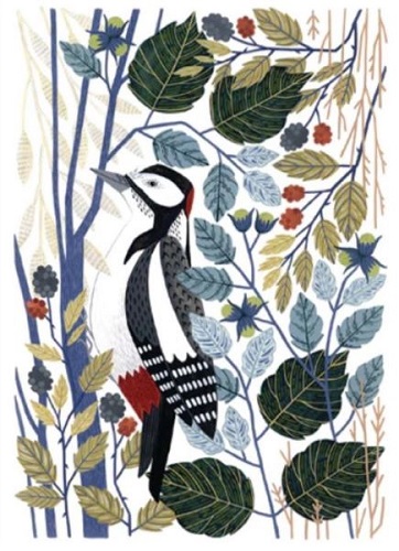 'Great Spotted Woodpecker' by Claire Tuxworth (T064) 