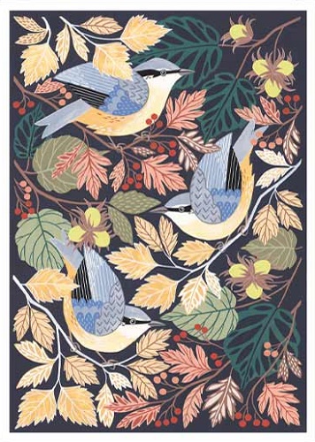 'Nuthatch' by Claire Tuxworth (T156) NEW