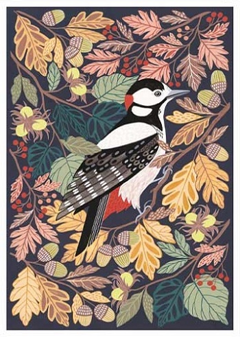 Our Latest Cards