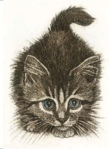 'Curious Kitten' by Nicollette Savage (B182)