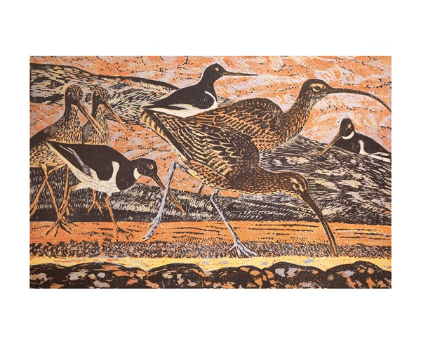 'Curlew and Oystercatchers' by James T.A. Osborne (A976)