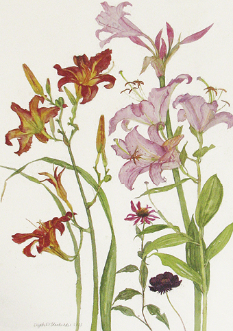 'Day Lilies' 2004 by Elizabeth Blackadder RA (C552) *