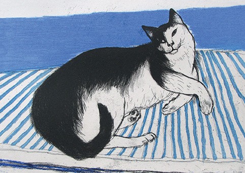 'Toby' by Elizabeth Blackadder RA (C234) 