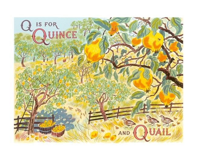 'Q is for Quince' by Emily Sutton (A807) *