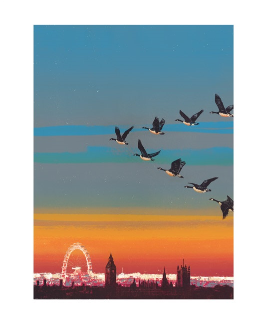 'Migration Over Westminster' by Emma Reynolds (A806) * 