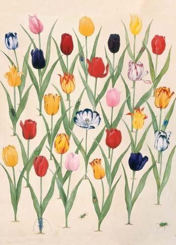 'Every Beetle is a Gazelle in the Eyes of its Mother' by Rebecca Campbell (B190)