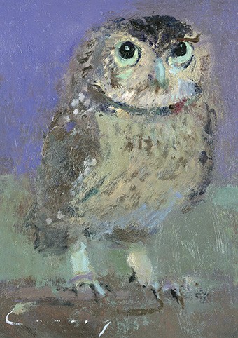 'Little Owl' 2000 by Fred Cuming RA (C321) * 