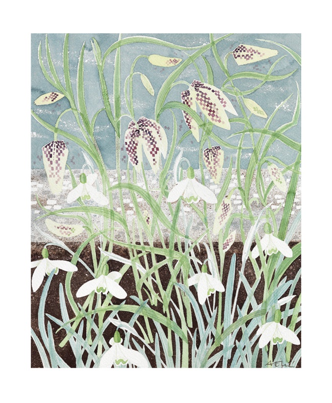 'Fritillaries and Snowdrops' by Angie Lewin (A896w) 