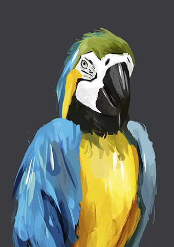 'Kota the Parrot' by Green Lili (C502) 
