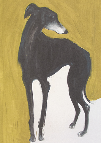 'Galgo 2018 by Sally Muir (C490) *