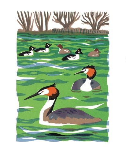 'Great Crested Grebe and Goldeneye' by Carry Akroyd (A256) *