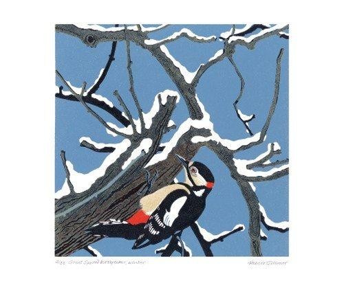 'Great Spotted Woodpecker (winter) ' by Robert Gillmor (A442w)