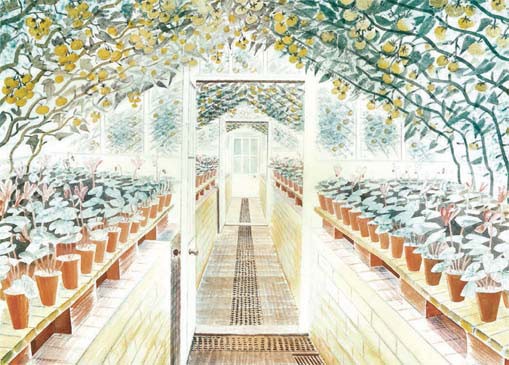 'Greenhouse' by Eric Ravilious (B116)