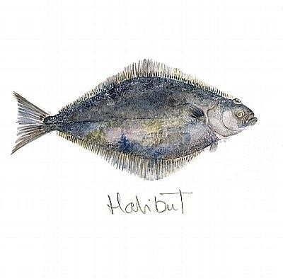 'Halibut' by Angie Horder (L025d) Was 3.15, now 1.75