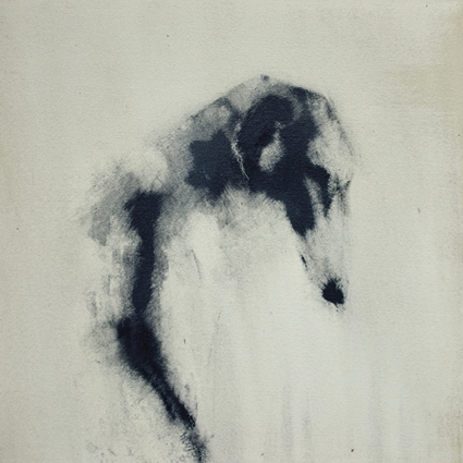 'Greyhound' 2019 by Heidi Wickham (C559) *