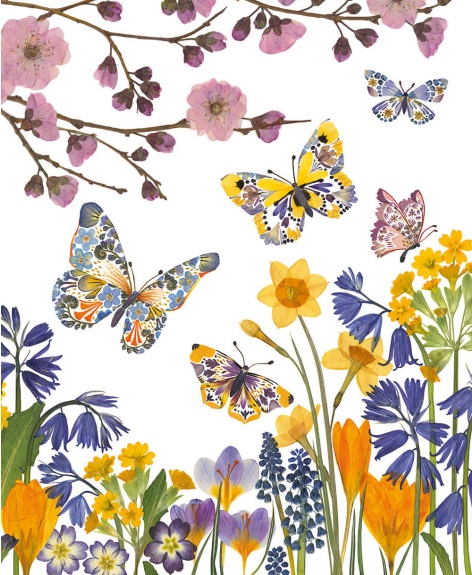 'Butterfly Meadow' by Helen Ahpornsiri (V142)