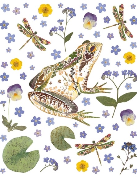 'Garden Frog' by Helen Ahpornsiri (V139) 