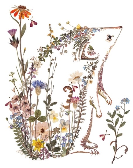 'Cottage Garden Hedgehog' by Helen Ahpornsiri (V154)