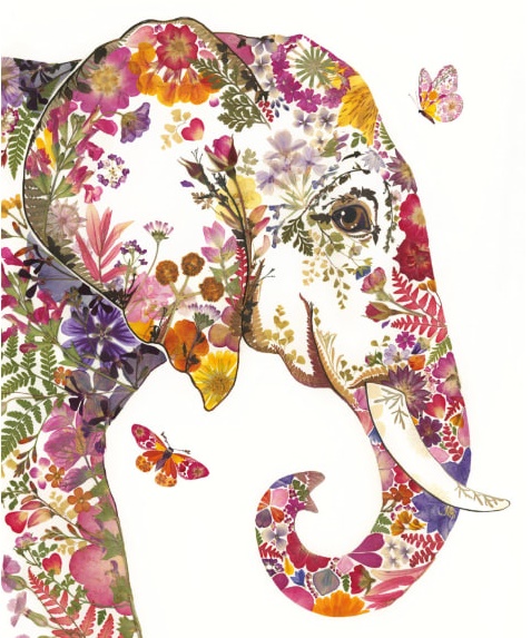 'Petal Elephant' by Helen Ahpornsiri (V221) NEW