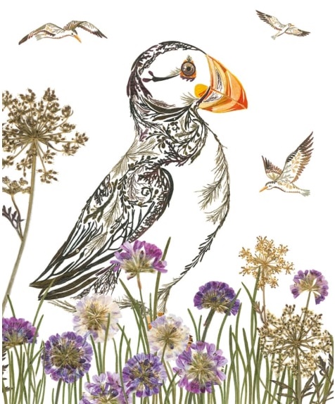 'Proud Puffin' by Helen Ahpornsiri (V141) 