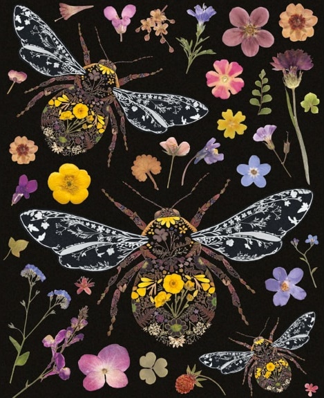 'Three Bumblebees' by Helen Ahpornsiri (V146) 