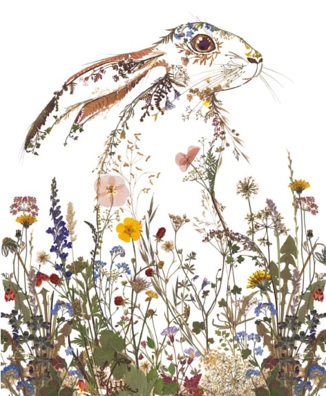 'Wildflower Hare' by Helen Ahpornsiri (V140) 