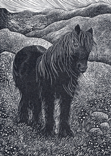 'Fell Pony' by Hilary Paynter (B500)