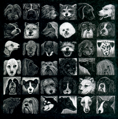 'The Dog Show' by Hilary Paynter (B529) *