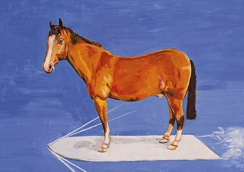 'Horse on a Surfboard, 2001' by Harry Hill (C016) 