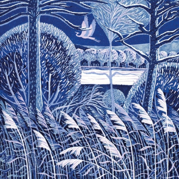 'Iced Over' by Annie Soudain (5 pack)  (xmg114) g1 (larger square format) 160mm x 160mm (message inside)