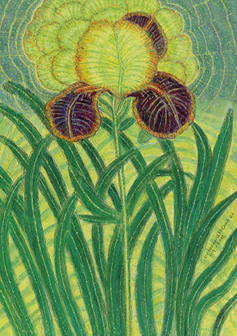 'Iris, 2017' by Leonard McComb RA (C416) *