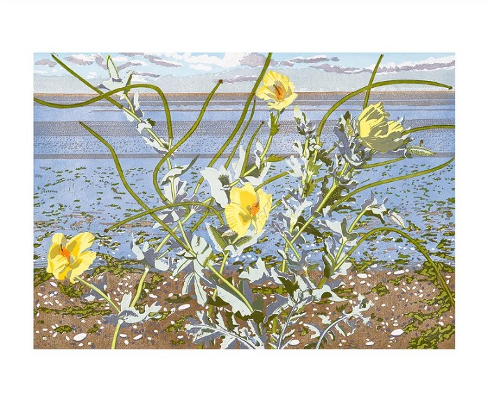 'Horned Poppy at Snettisham' by Ivy Smith (A215) NEW 