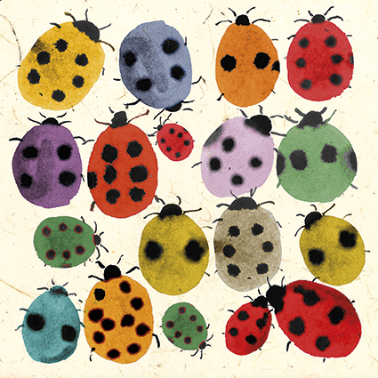 'Inky Ladybirds' by Jenny Frean (C597) 