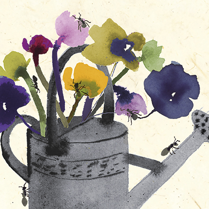 'Ants in your plants' by Jenny Frean (C035)