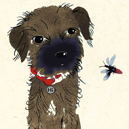 'Peek the Puppy' by Jenny Frean (C033) 