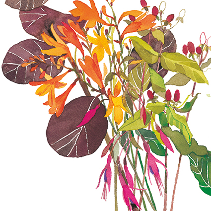 'Montbretia and fuchsias' by Jane Ormes (C654) 