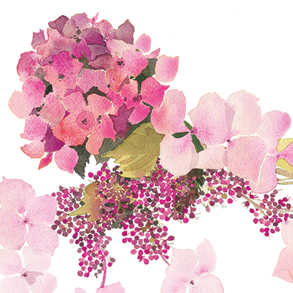 'Pink hydrangea' by Jane Ormes (C657) 